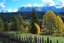 Blick vom Ritten zu den Dolomiten